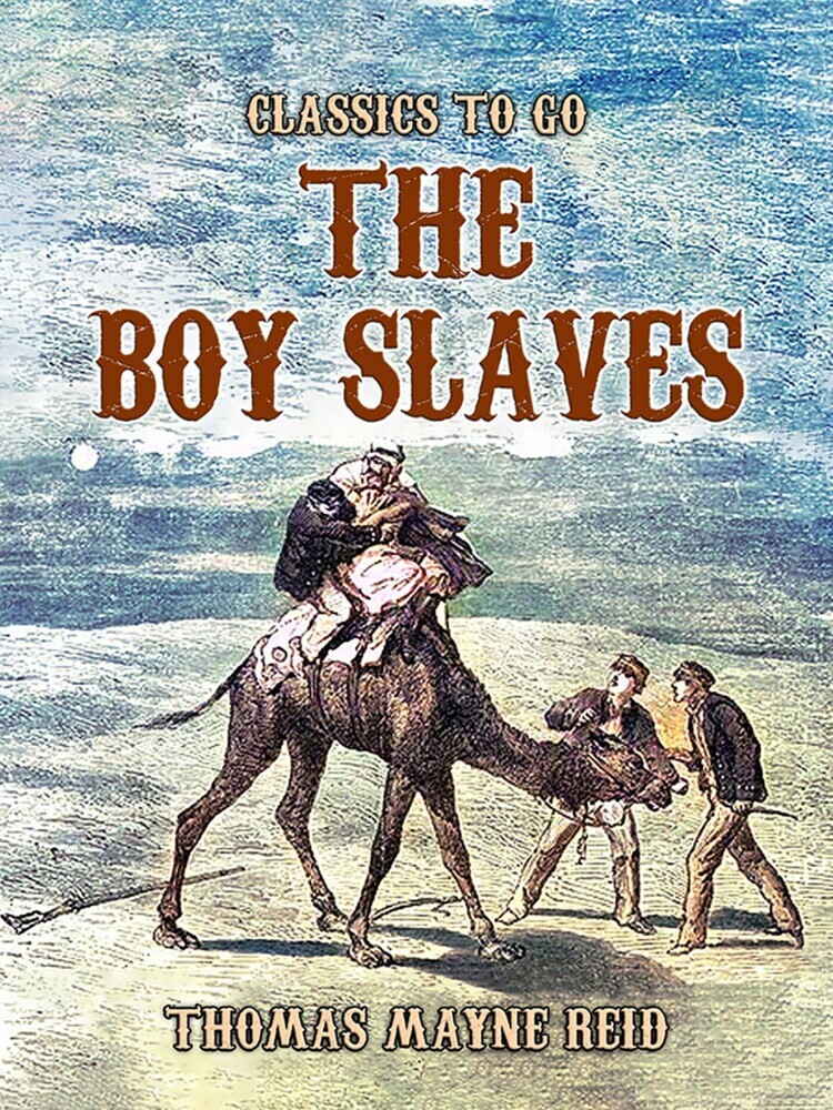 The Boy Slaves main product photo