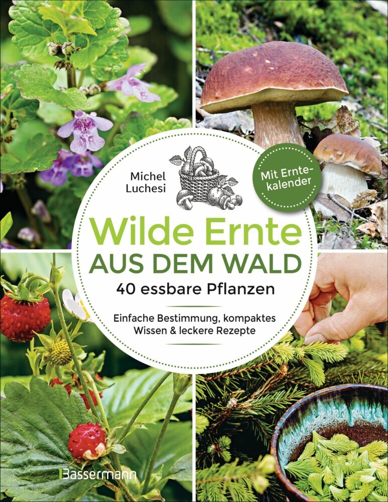 Wilde Ernte aus dem Wald - 40 essbare Pflanzen - einfache Bestimmung, kompaktes Wissen und leckere Rezepte main product photo