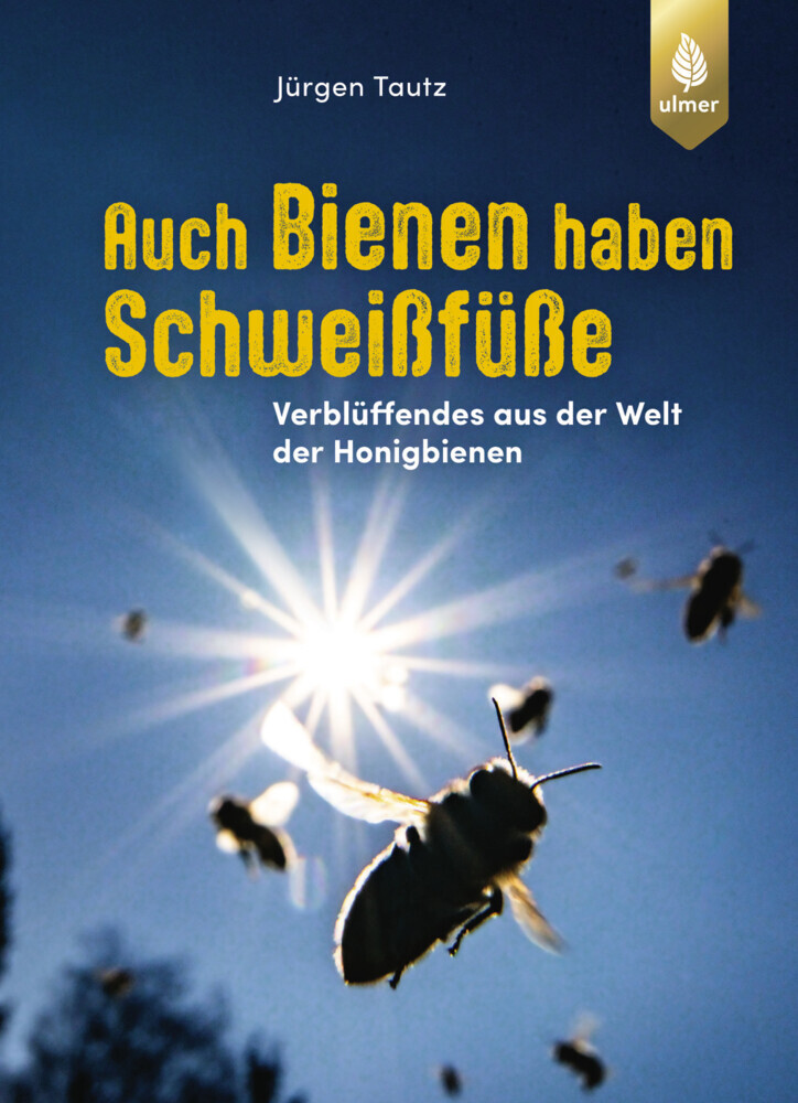 Auch Bienen haben Schweißfüße main product photo