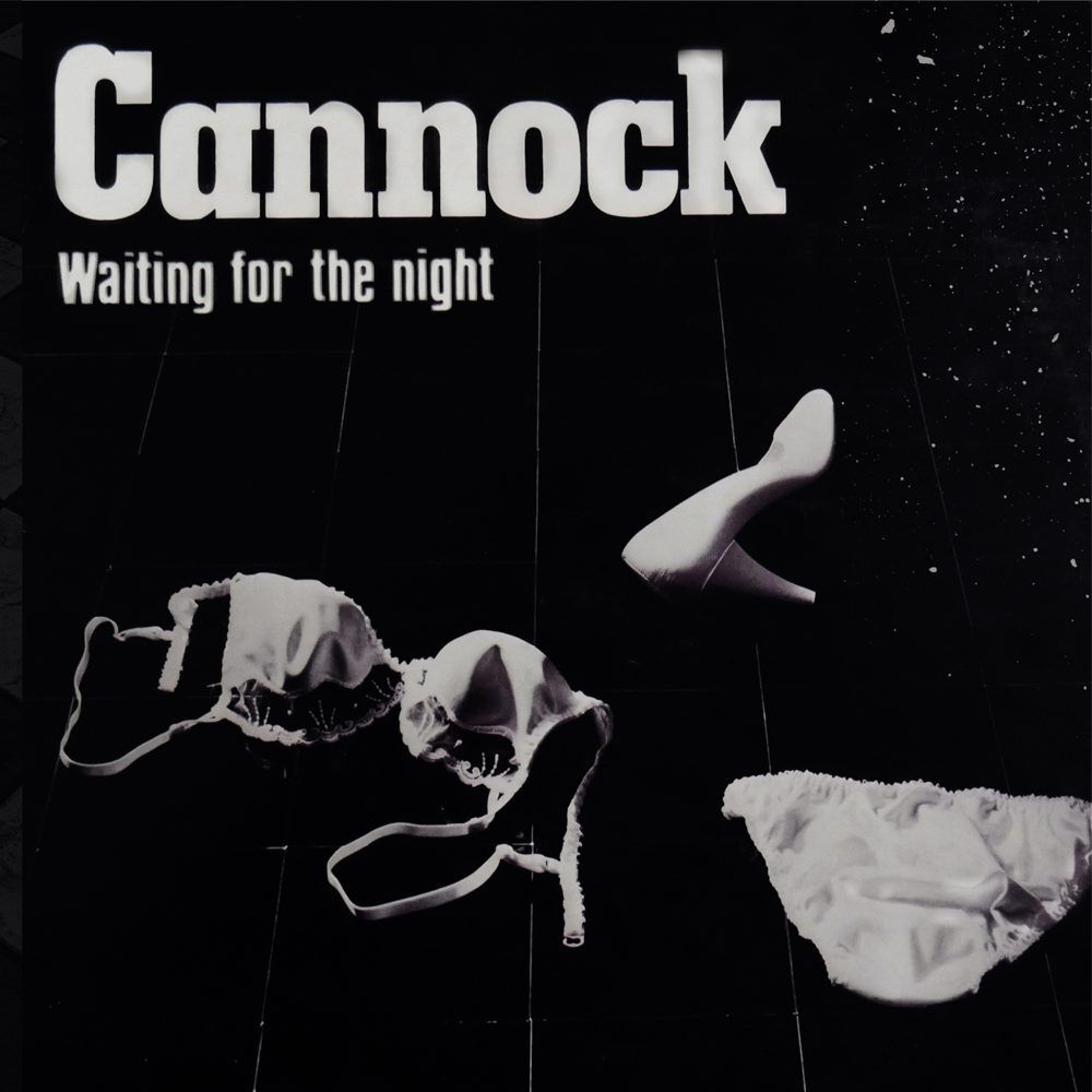 Waiting For The Night, 1 Audio-CD main product photo