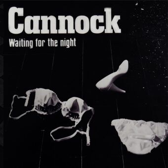 Waiting For The Night, 1 Audio-CD