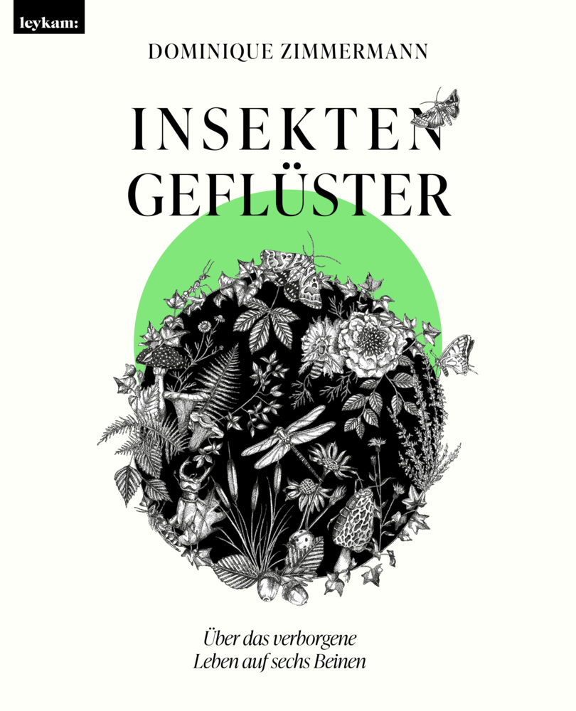 Insektengeflüster - Über das verborgene Leben auf sechs Beinen main product photo
