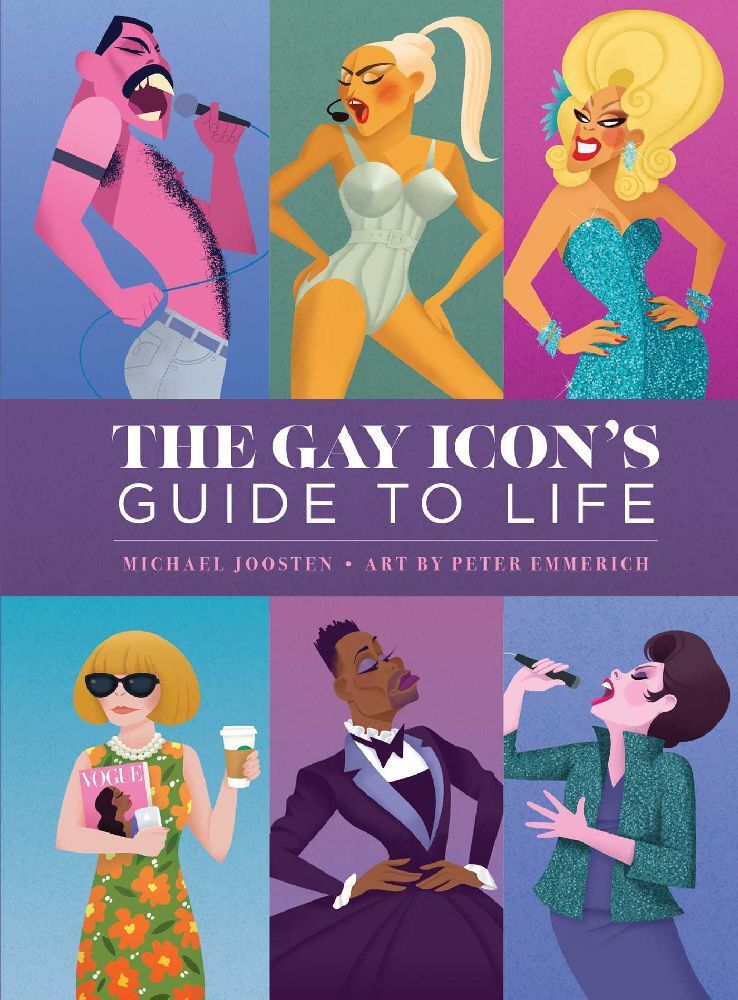 The Gay Icon's Guide to Life main product photo