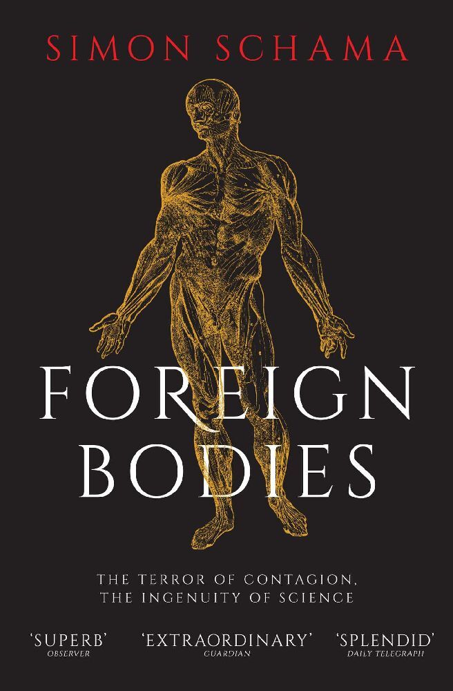 Foreign Bodies main product photo