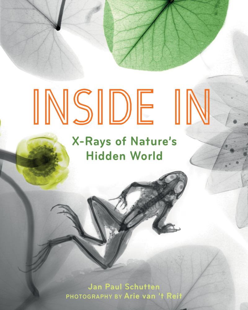 Inside In main product photo