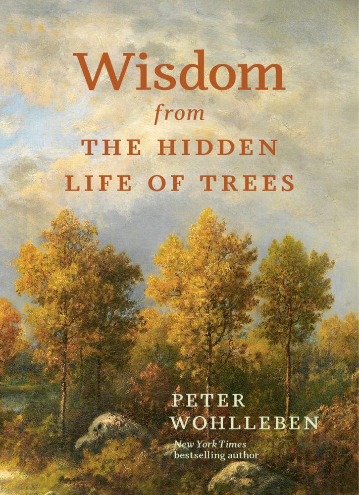 Wisdom From The Hidden Life of Trees main product photo