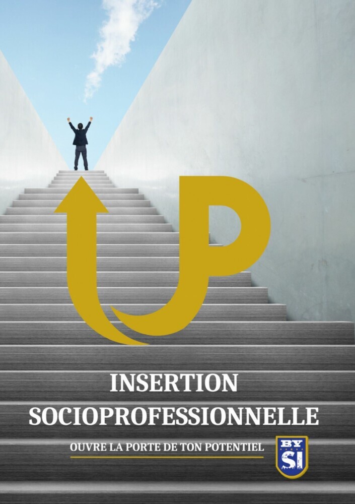 Insertion socioprofessionnelle main product photo