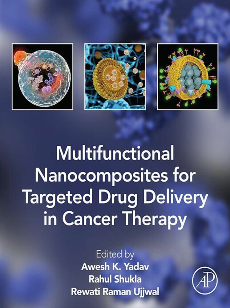 Multifunctional Nanocomposites for Targeted Drug Delivery in Cancer Therapy main product photo