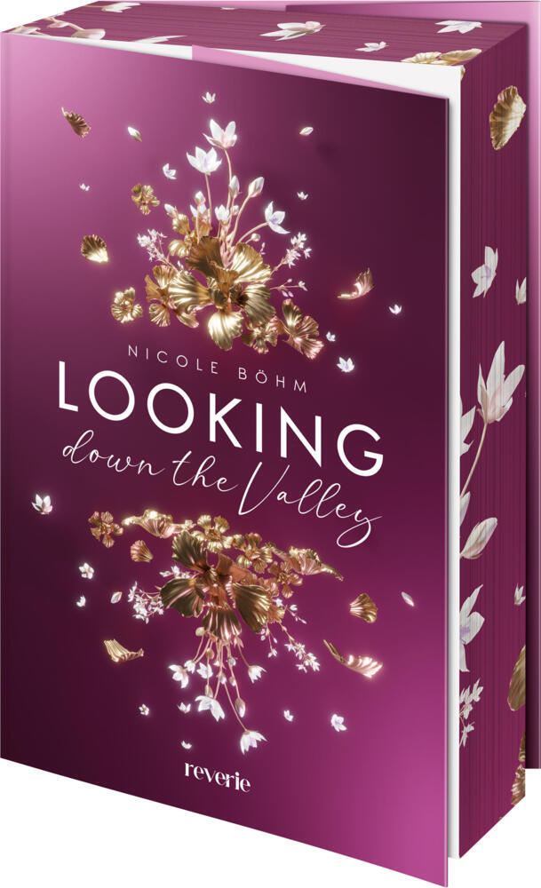 Looking down the Valley main product photo