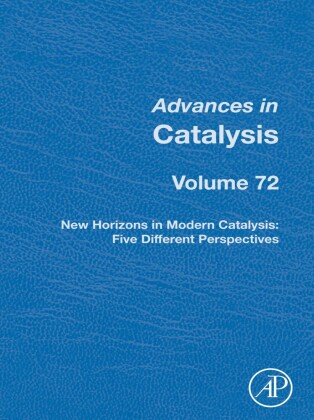 New Horizons in Modern Catalysis: Five Different Perspectives