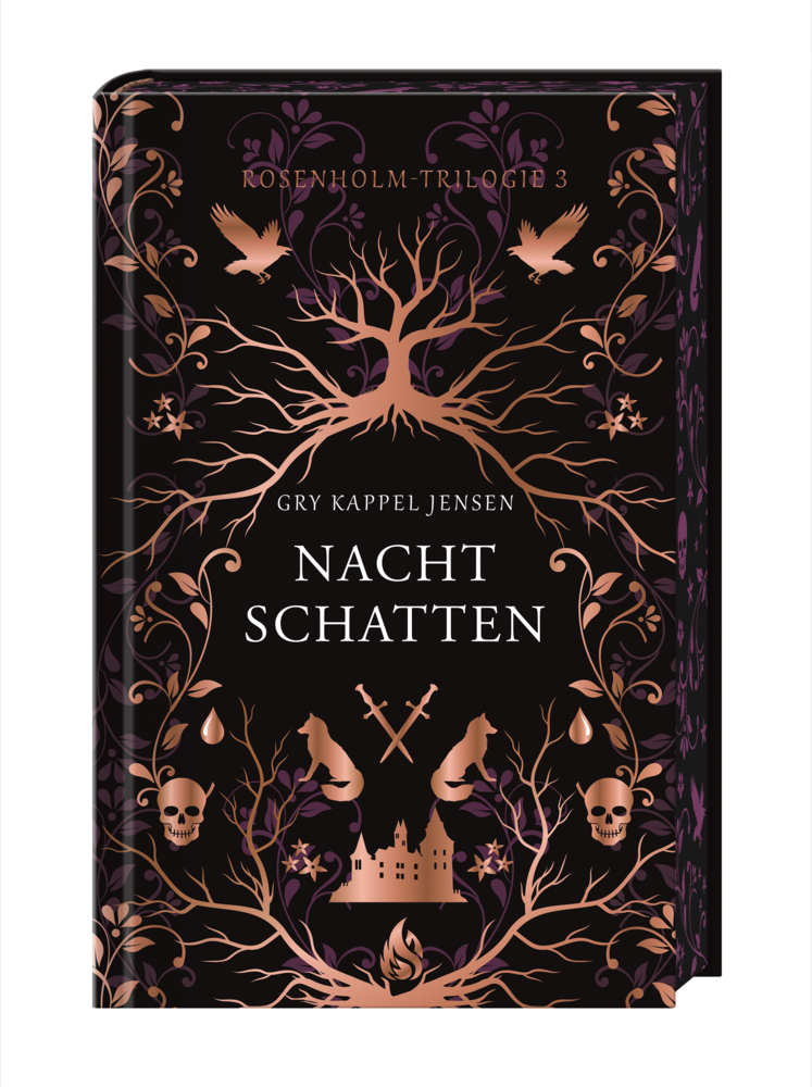 Nachtschatten - Rosenholm-Trilogie (3) main product photo