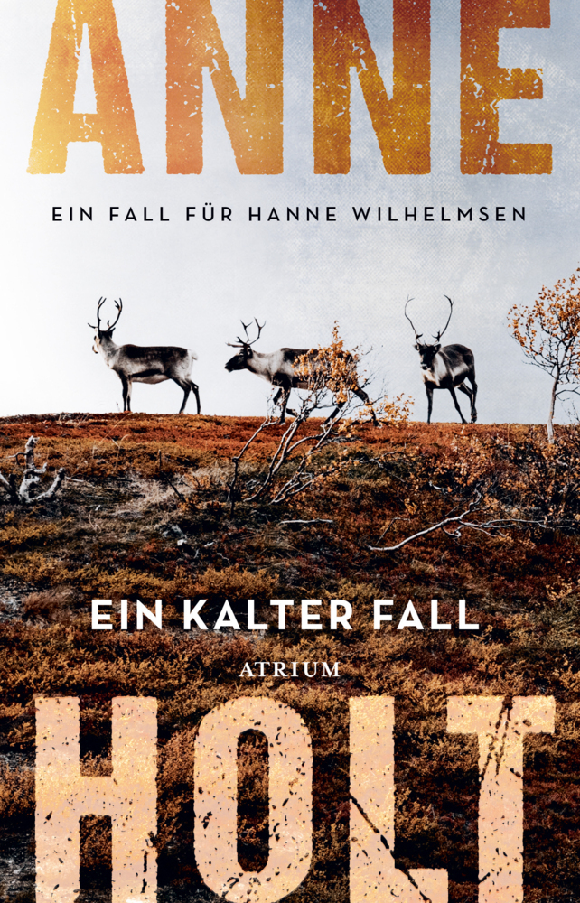 Ein kalter Fall main product photo