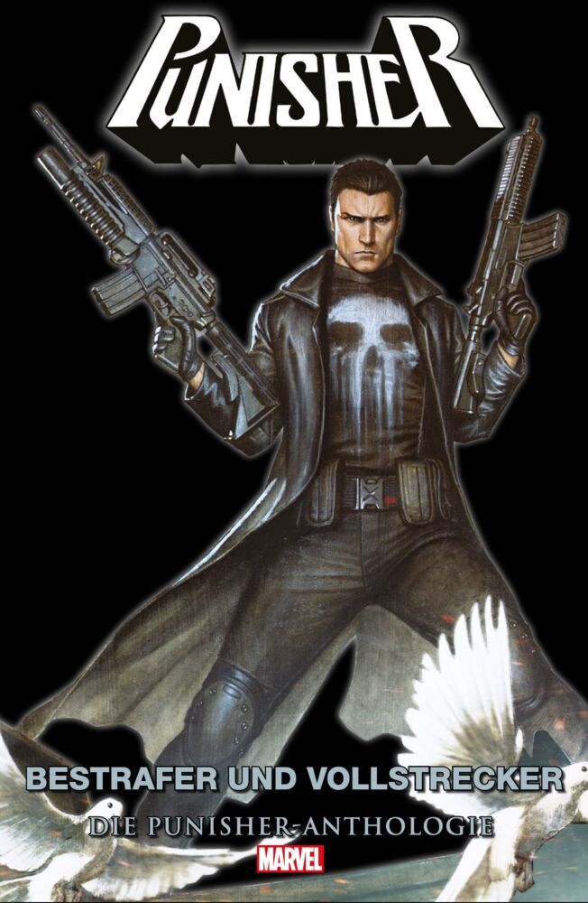 Punisher Anthologie main product photo