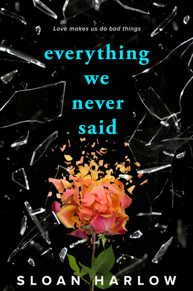 Everything We Never Said main product photo