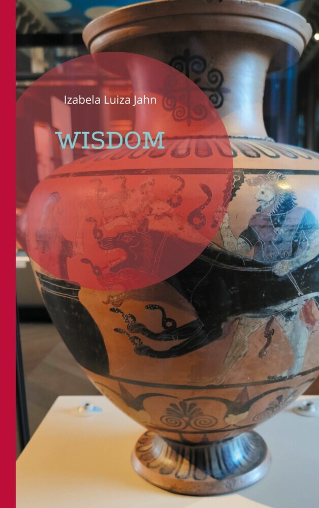 Wisdom main product photo