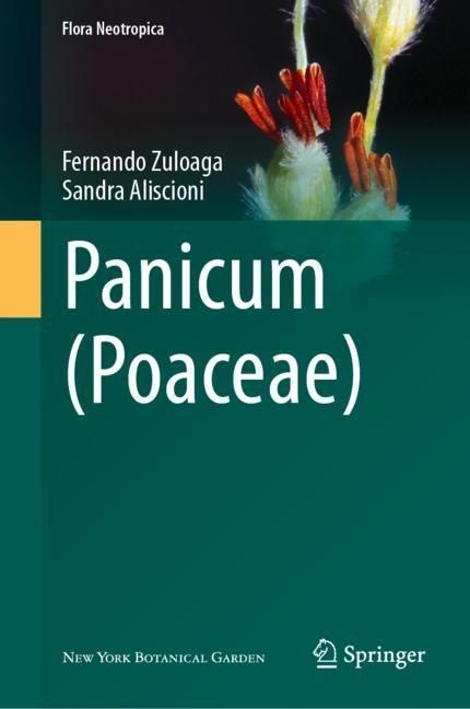 Panicum (Poaceae) main product photo