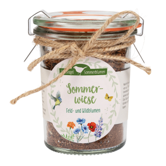 Sommerwiese
