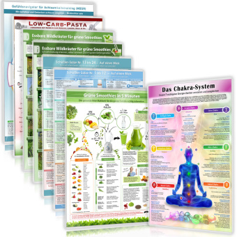 [8er Set] 8 Helfer für Balance, Wohlbefinden & Gesundheit...