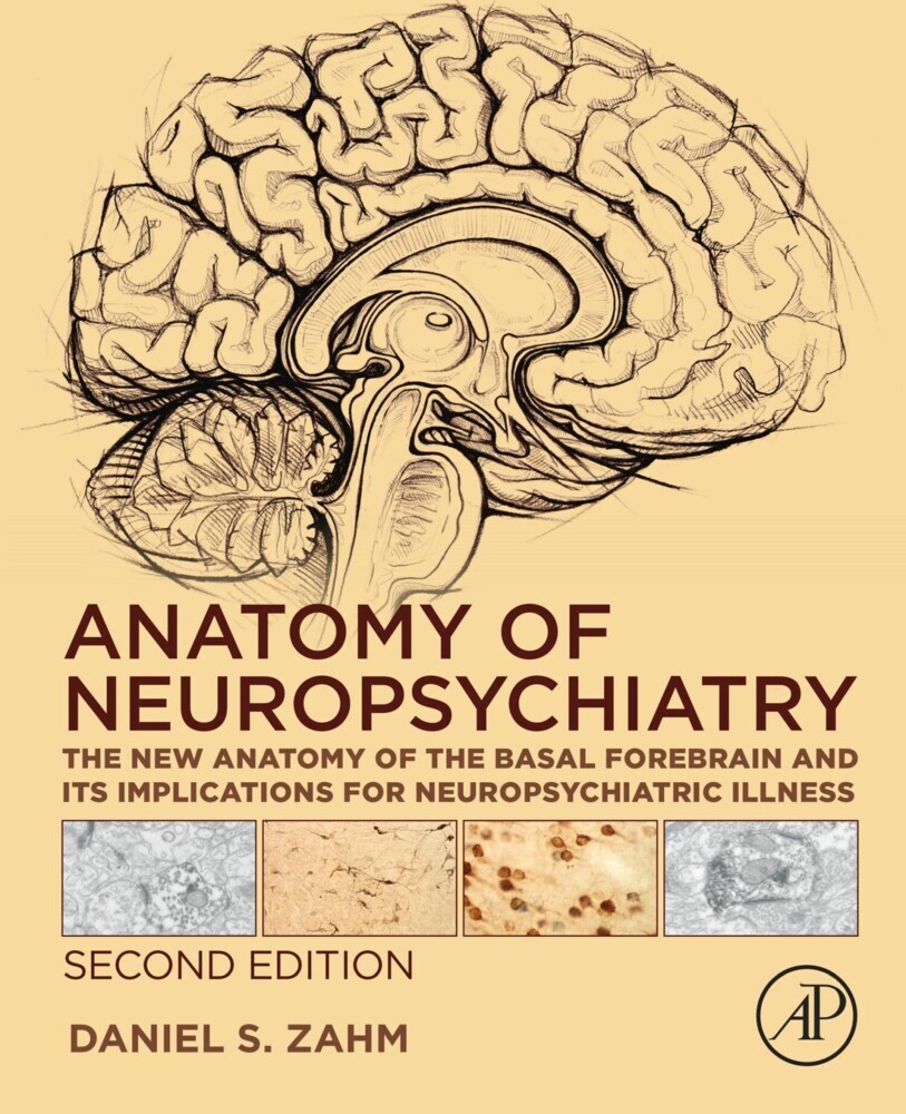 Anatomy of Neuropsychiatry main product photo