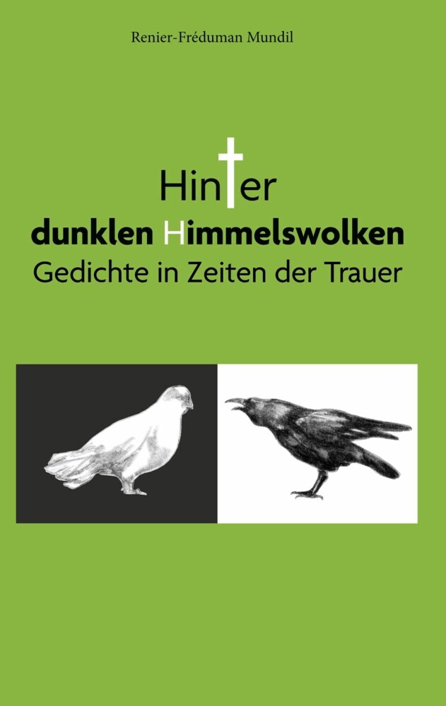 Hinter dunklen Himmelswolken main product photo