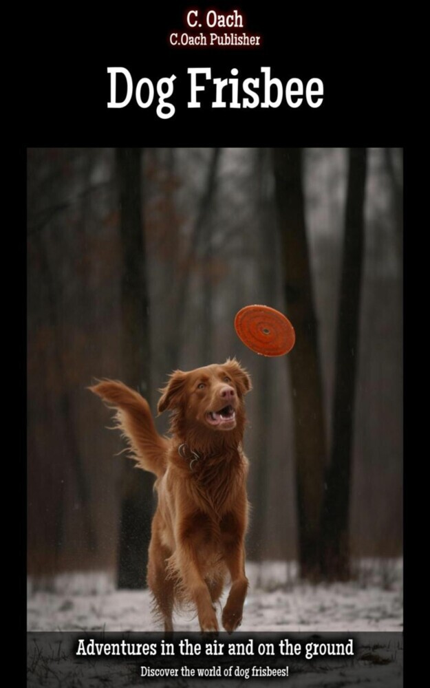 Dog Frisbee main product photo