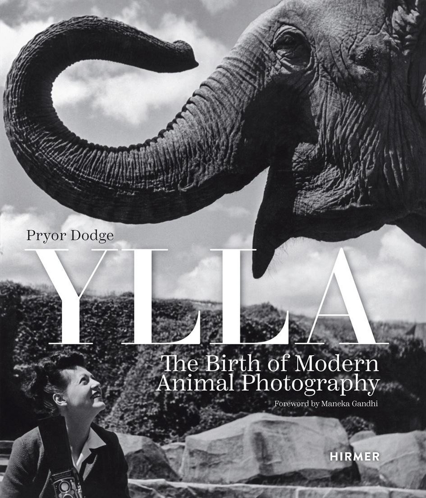 Ylla main product photo