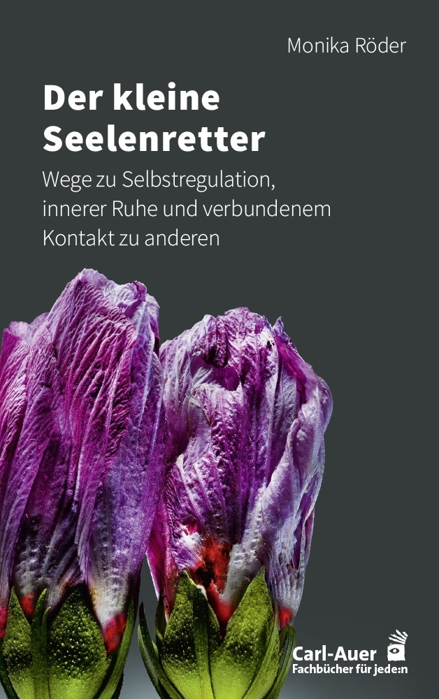 Der kleine Seelenretter main product photo