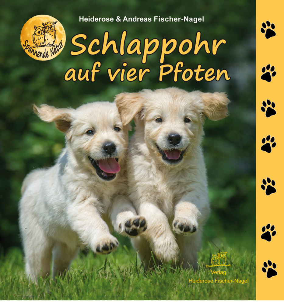 Schlappohr auf vier Pfoten main product photo
