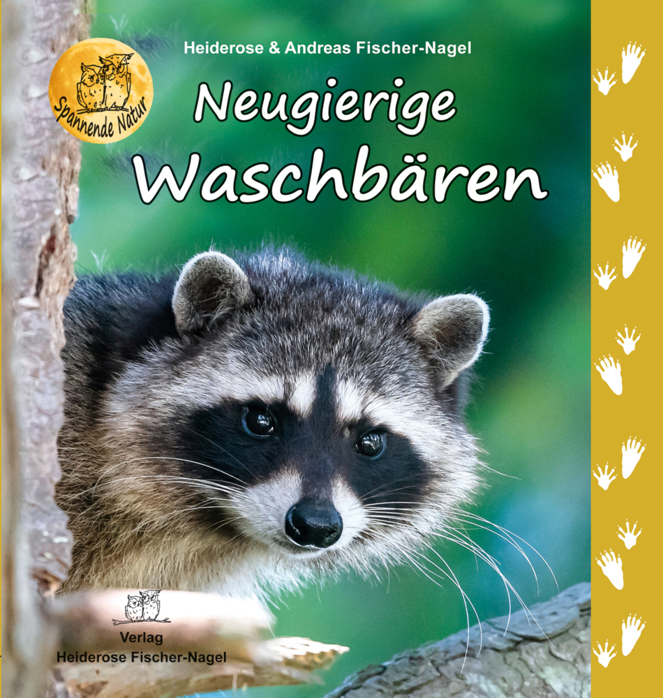 Neugierige Waschbären main product photo