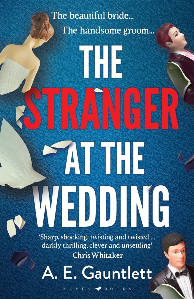 The Stranger at the Wedding main product photo