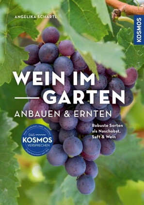 Wein im Garten anbauen & ernten