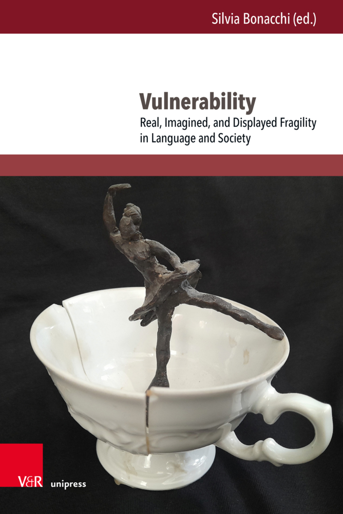 Vulnerability main product photo