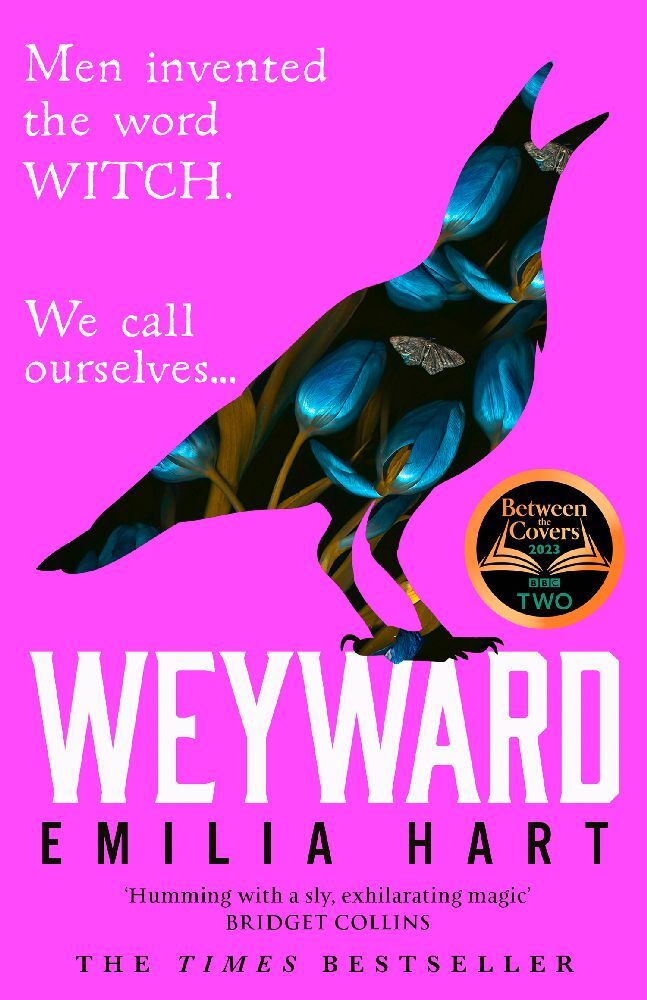 Weyward main product photo