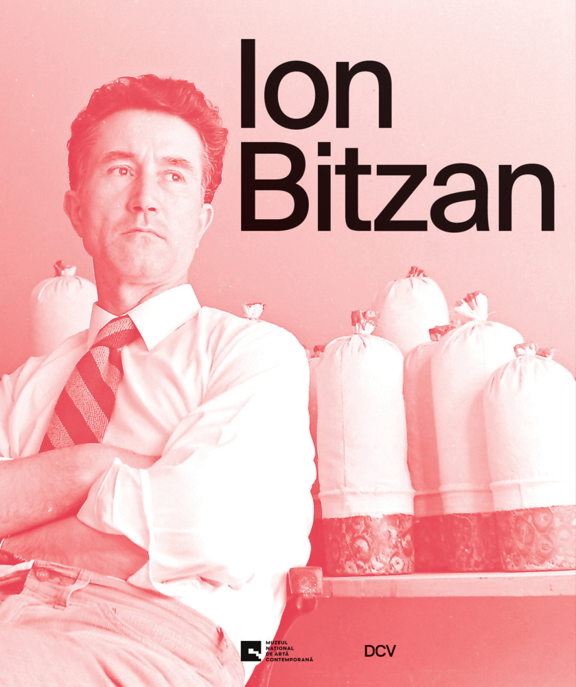 Ion Bitzan main product photo