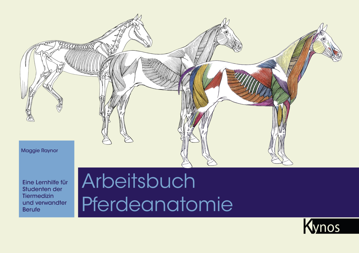 Arbeitsbuch Pferdeanatomie main product photo