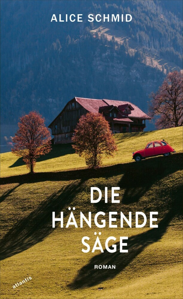 Die hängende Säge main product photo