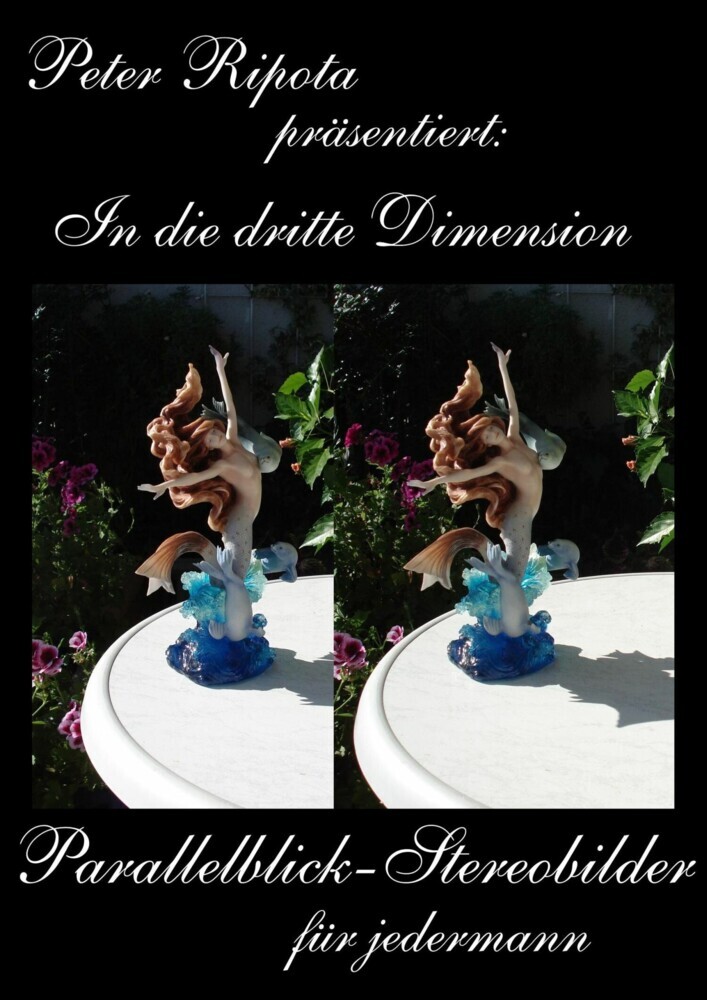In die dritte Dimension-2 main product photo