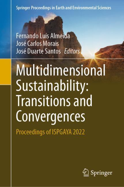 Multidimensional Sustainability: Transitions and Convergences main product photo