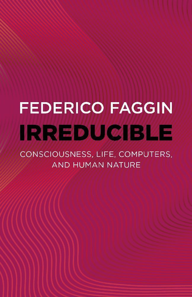 Irreducible main product photo