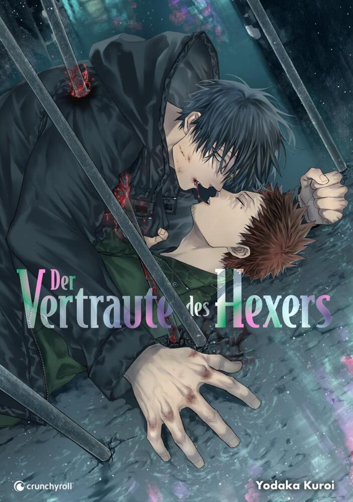 Der Vertraute des Hexers main product photo