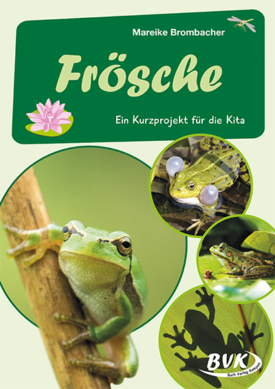Frösche main product photo