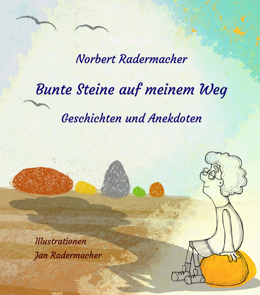 Bunte Steine auf meinem Weg main product photo