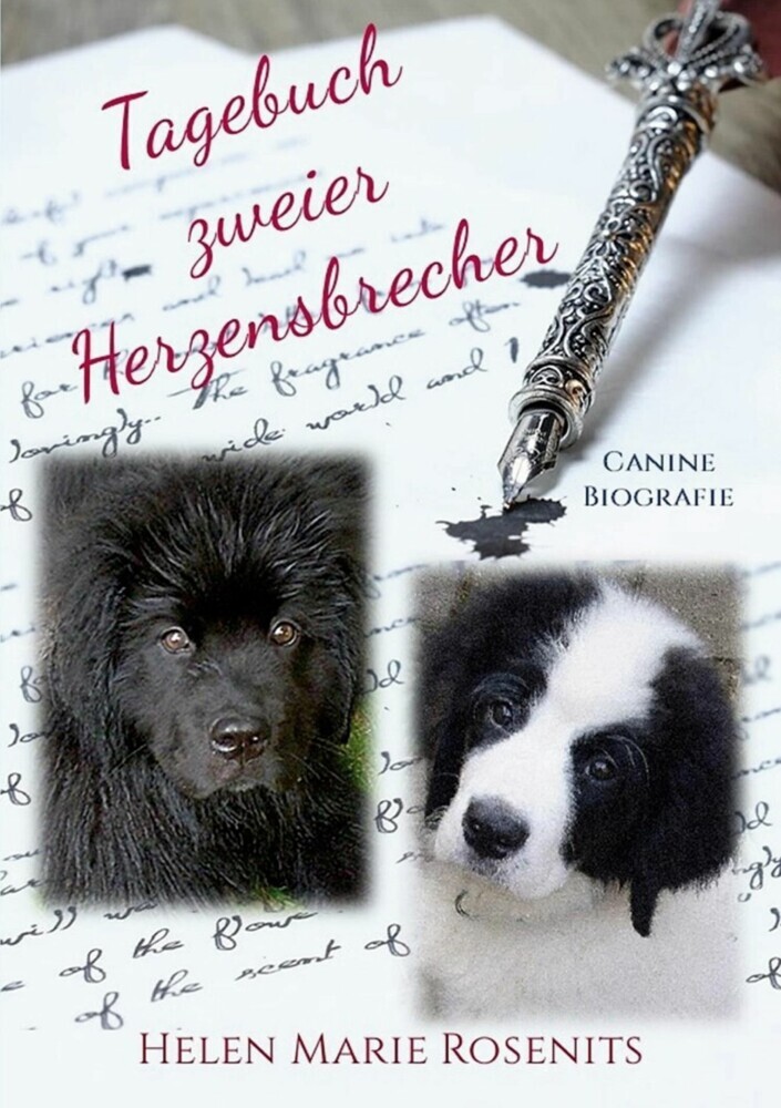Tagebuch zweier Herzensbrecher main product photo