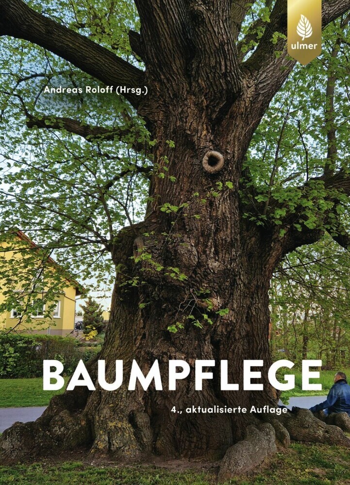 Baumpflege main product photo