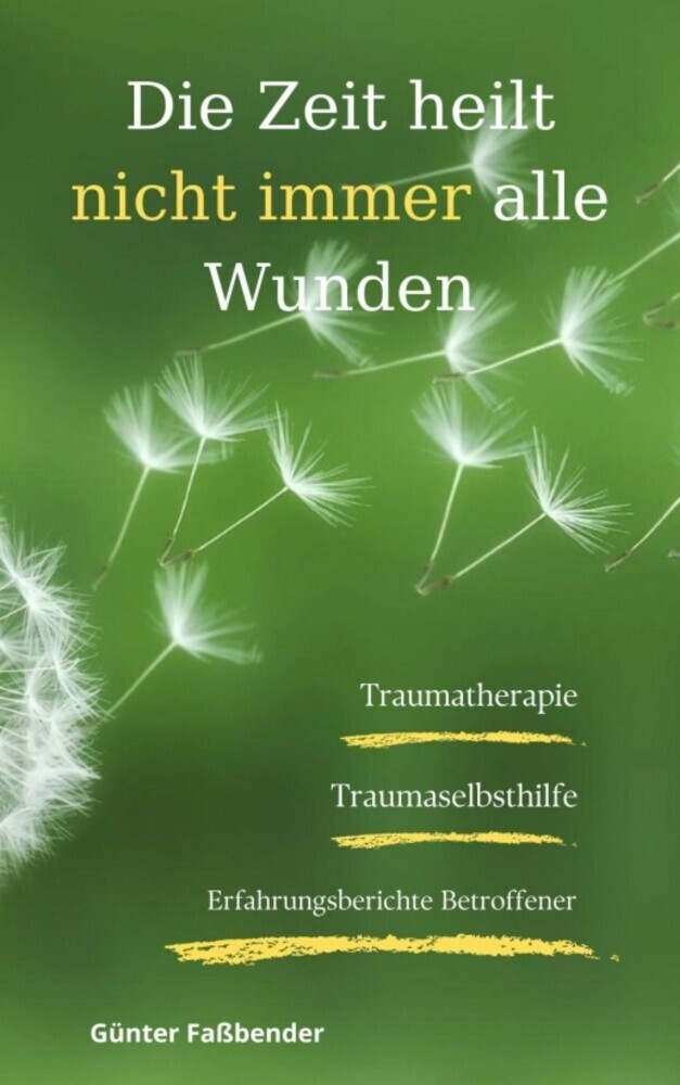 Die Zeit heilt nicht immer alle Wunden main product photo