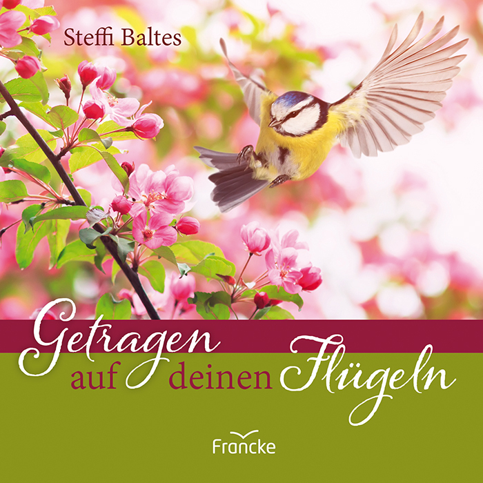 Getragen auf deinen Flügeln main product photo