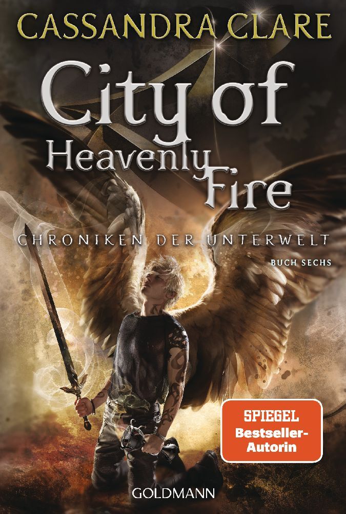 City of Heavenly Fire main product photo