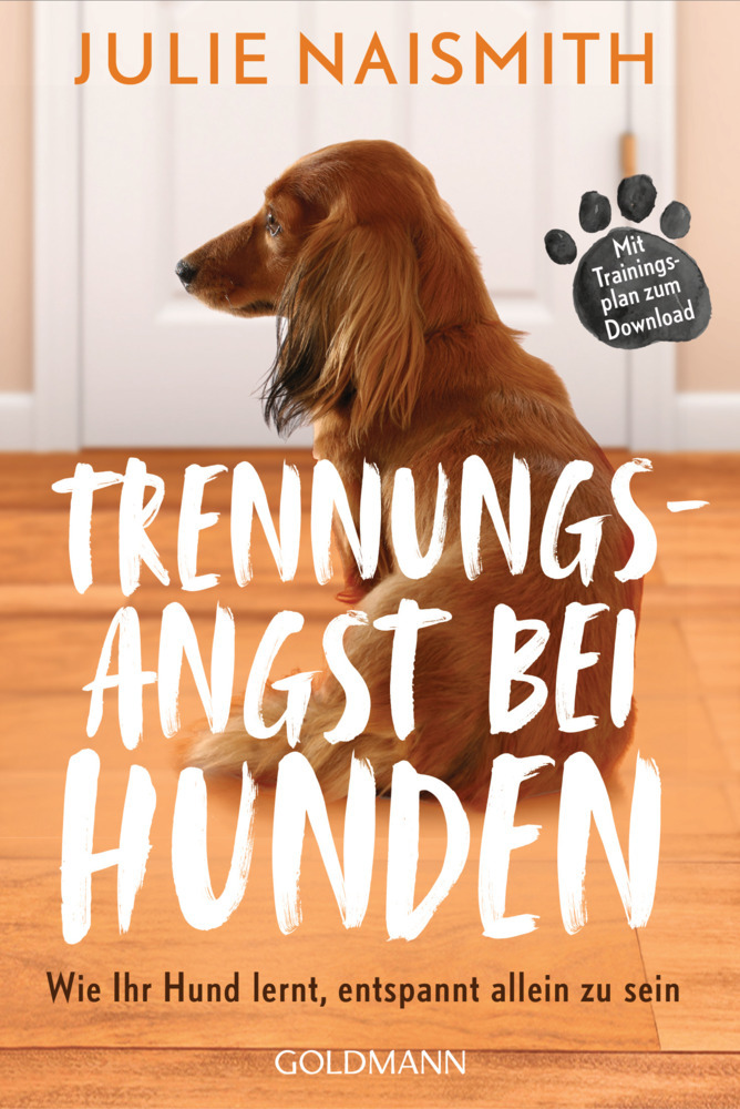 Trennungsangst bei Hunden main product photo