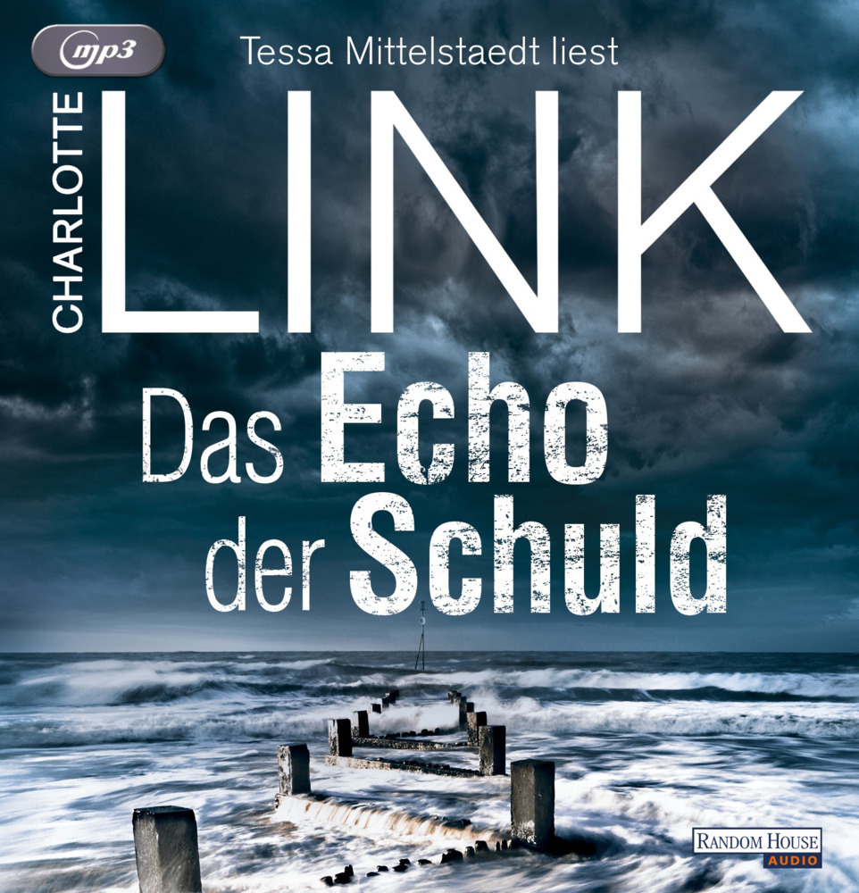Das Echo der Schuld, 2 Audio-CD, 2 MP3 main product photo