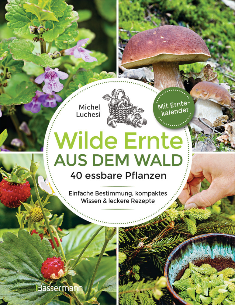 Wilde Ernte aus dem Wald - 40 essbare Pflanzen - einfache Bestimmung, kompaktes Wissen und leckere Rezepte main product photo